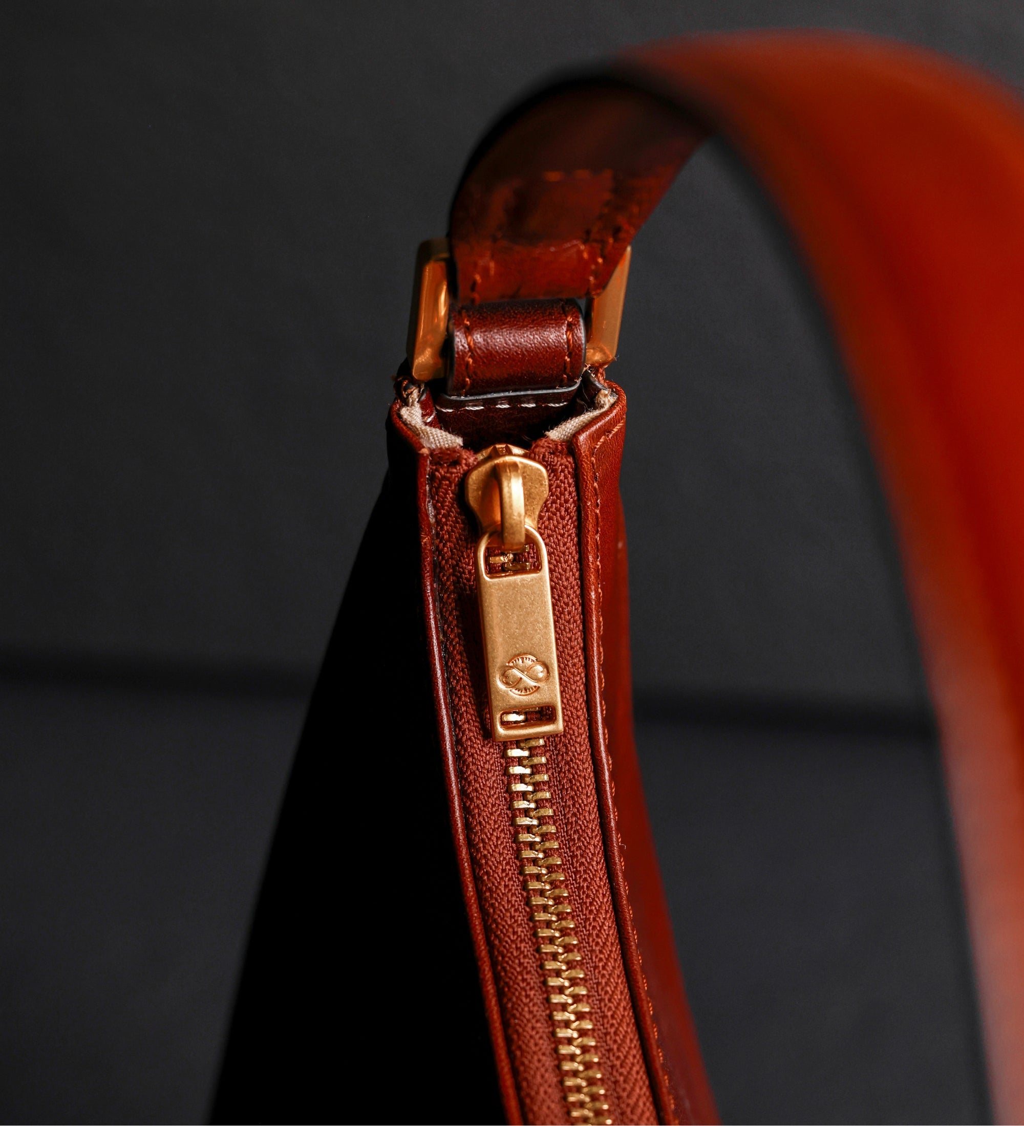 Bolso hobo de cuero para mujer: The Bluest Eye