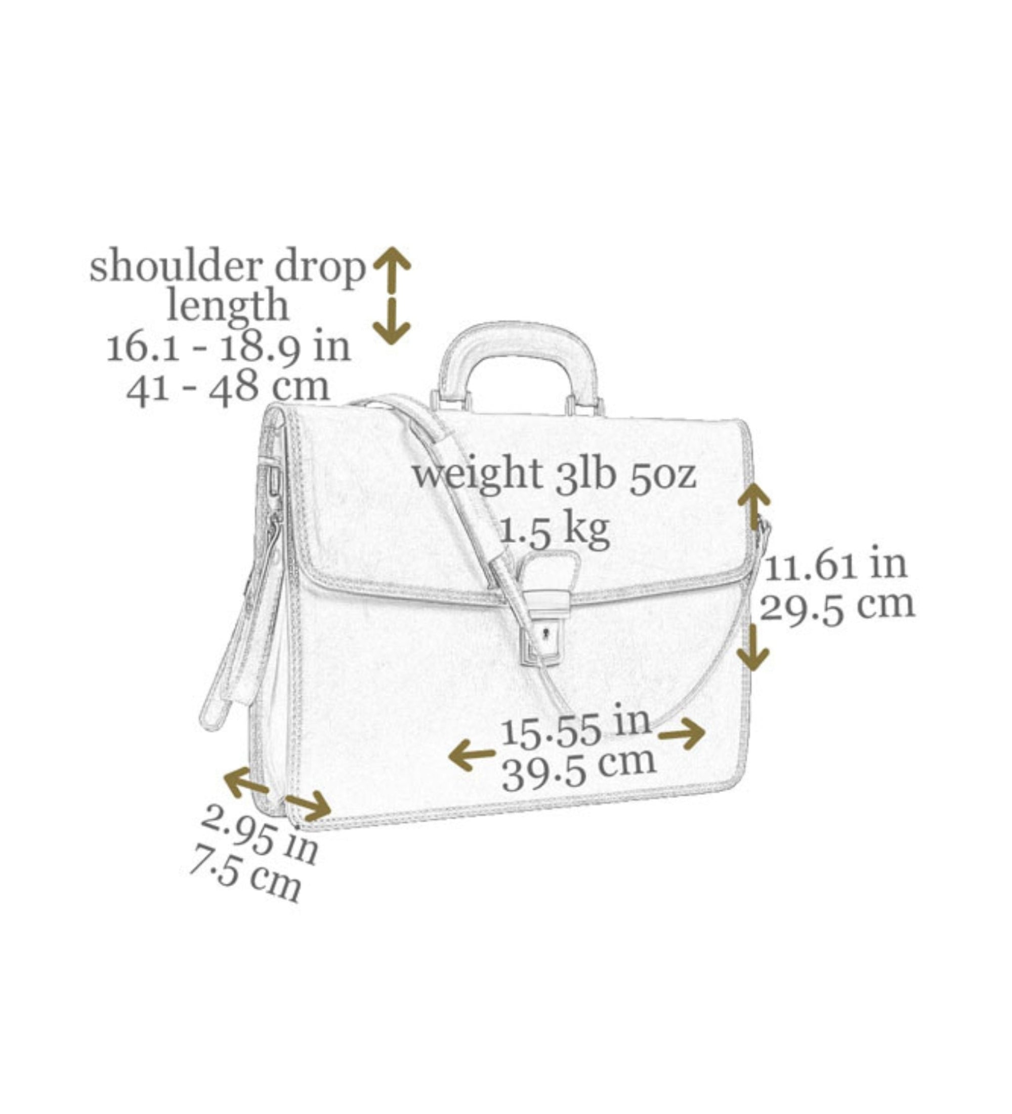 Maletín de cuero: The Sound of the Mountain
