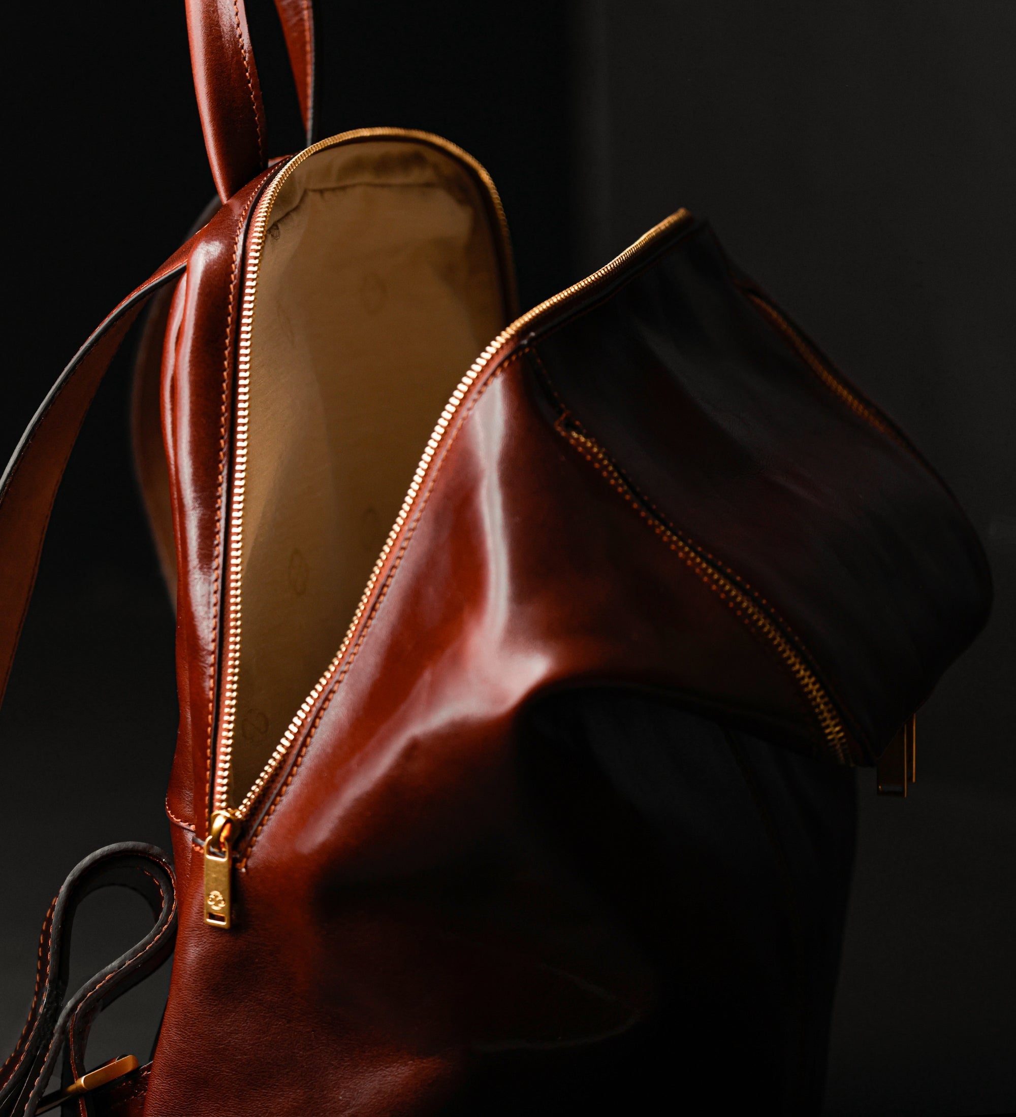 Mochila de cuero para mujer: A Bend in the River
