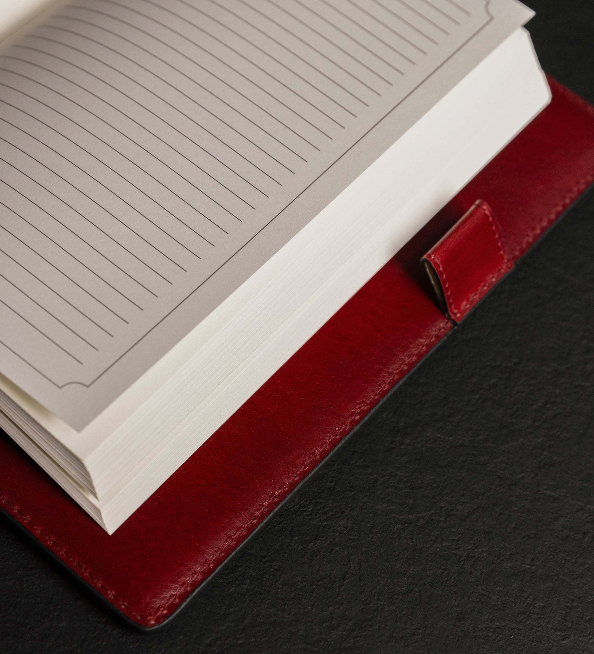 Cuaderno personal de cuero con bloc de notas A5 recargable: The Diary of a Nobody
